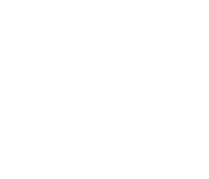 Logo Efficy
