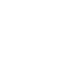 logo Elantis