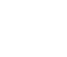 logo IBA