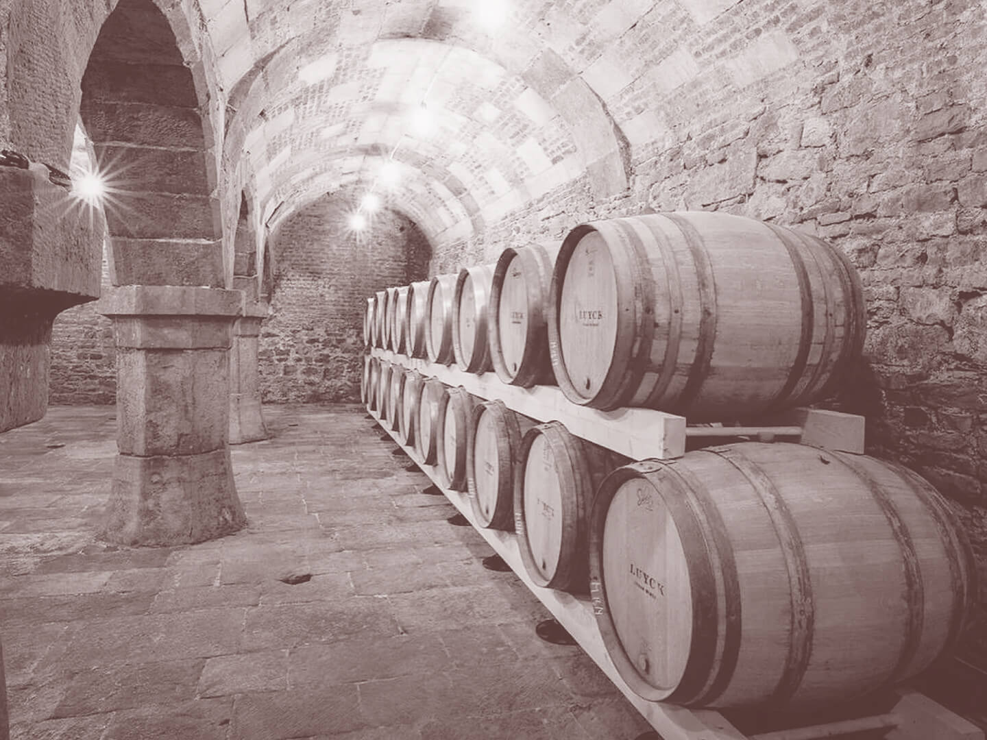 Alignement de fûts en chêne dans une cave à vin voûtée pour le vieillissement du vin