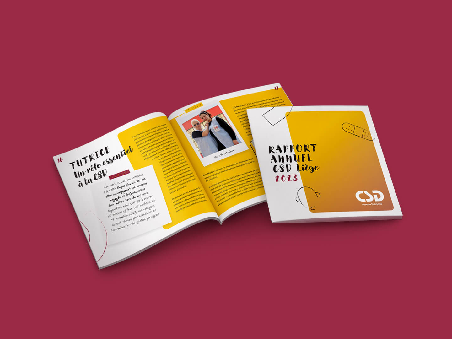 Csd Rapport Annuel